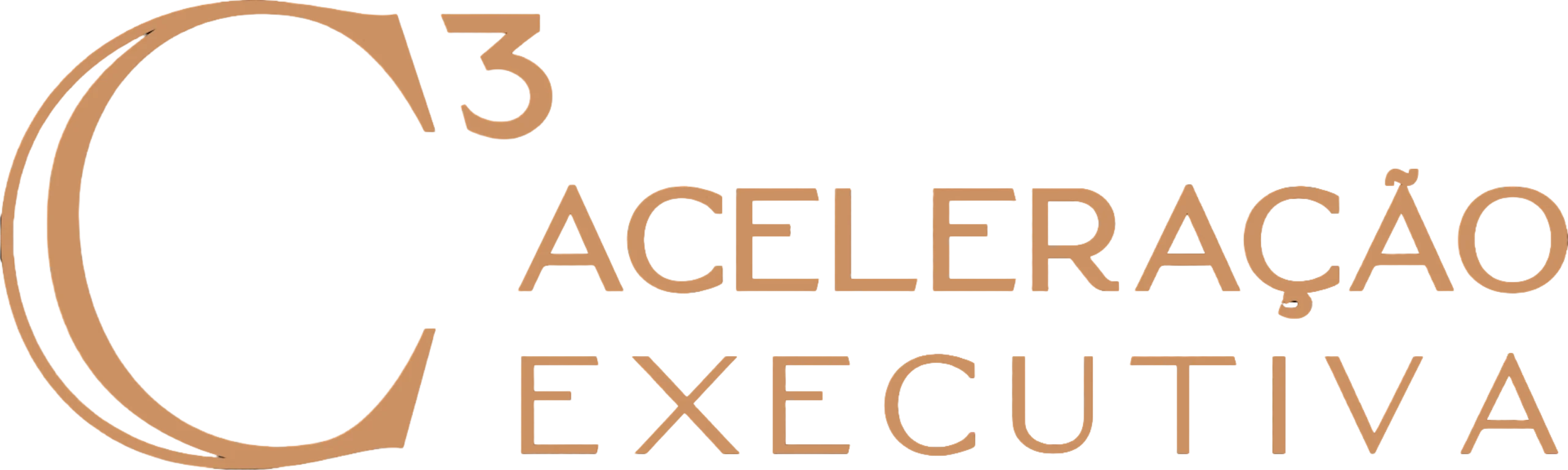 C3 Aceleração Executiva